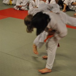 DSC 0081  Medium - Judoclub Zaventem 